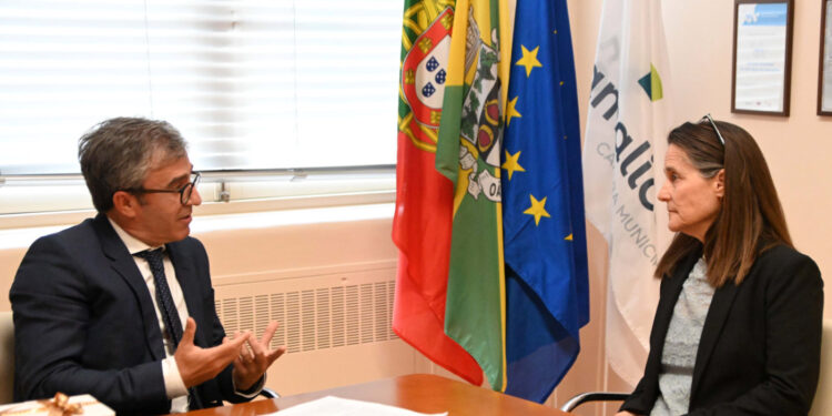 Cinco anos de cooperação