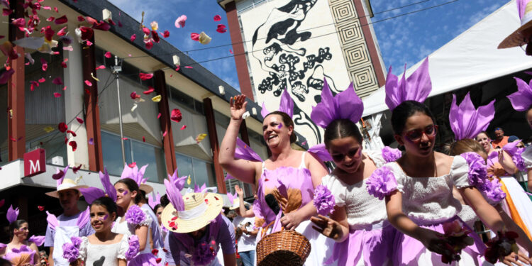 Domingo colorido e perfumado