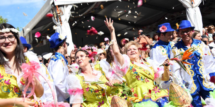 Domingo colorido e perfumado