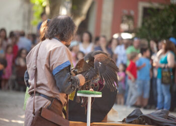 Vila Verde: Feira Quinhentista