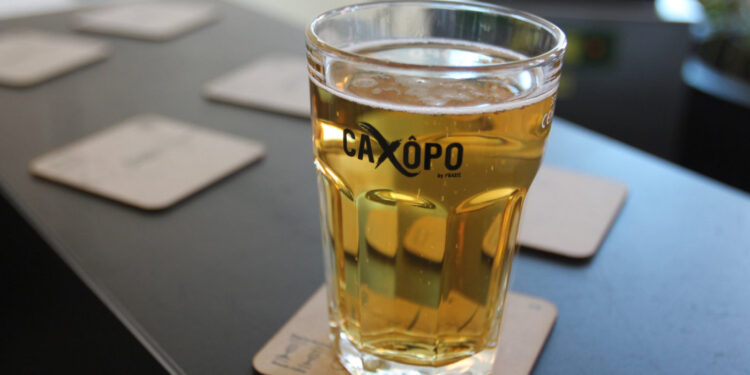 Coimbra, Livro sobre património cervejeiro