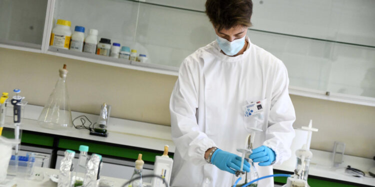 Universidade de Verão em Famalicão