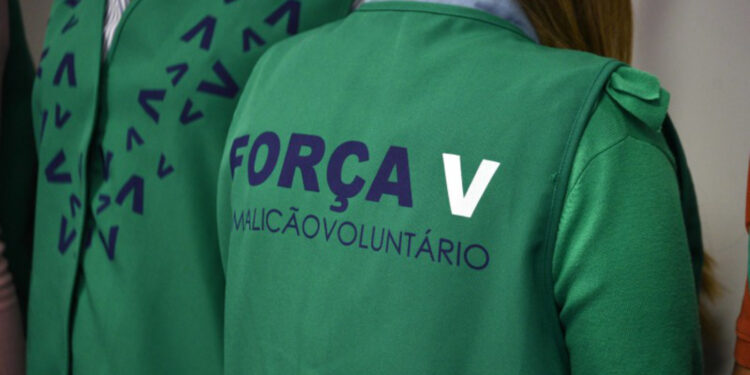 A Importância do Voluntariado