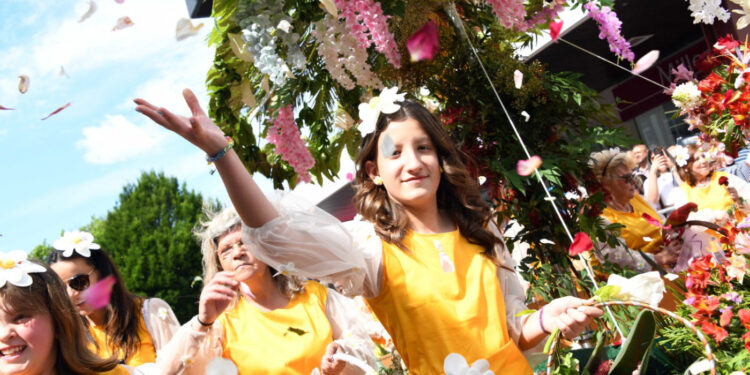 Domingo colorido e perfumado