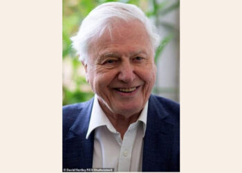 O mestre faz hoje 97 anos