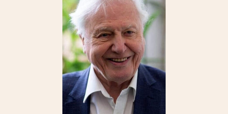 O mestre faz hoje 97 anos