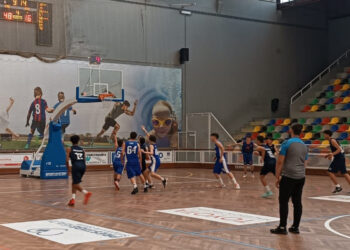 Basquetebol formação