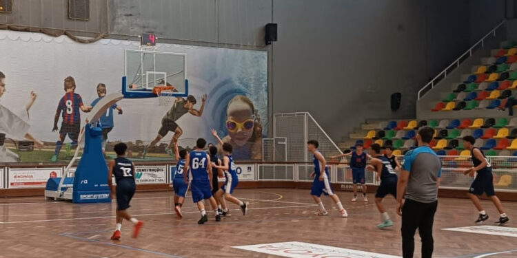 Basquetebol formação
