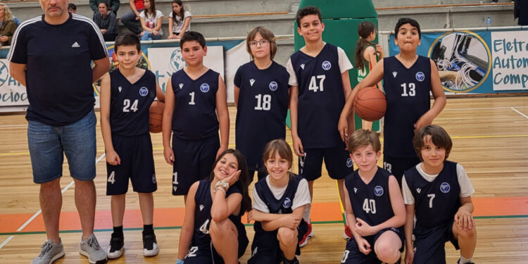 Basquetebol formação