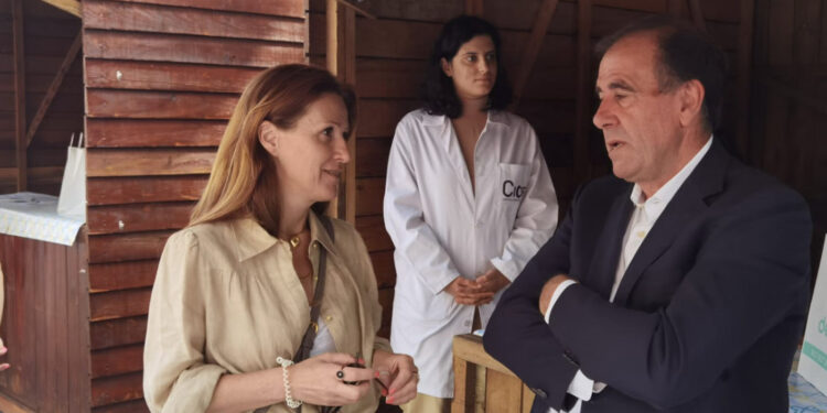 Mercado da Saúde no “Vai à Vila”