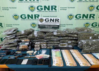 Doze detidos por tráfico