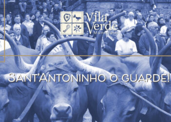 Bênção dos Animais é tema de livro