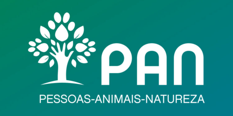 Estudos sobre sinistralidade na estrada