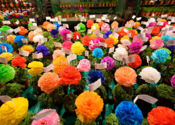 Orfeão Famalicense “agarra” tradição