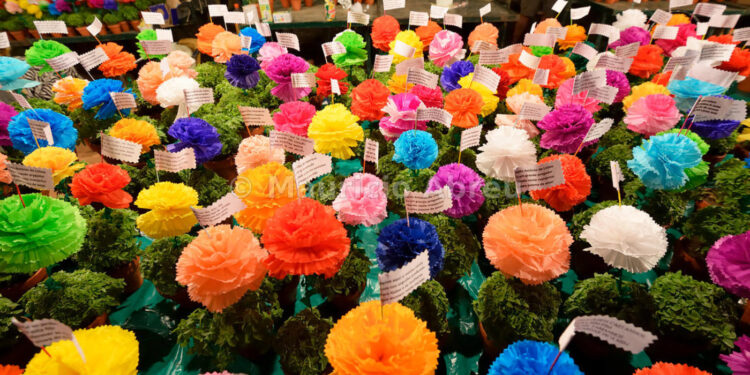 Orfeão Famalicense “agarra” tradição