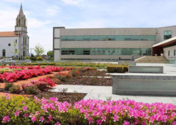 Vila Verde: Feriado altera recolha de lixo