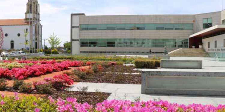 Vila Verde: Feriado altera recolha de lixo