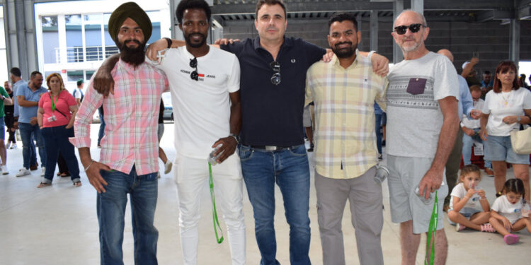 GONDIMIL: Dedicação e Inovação