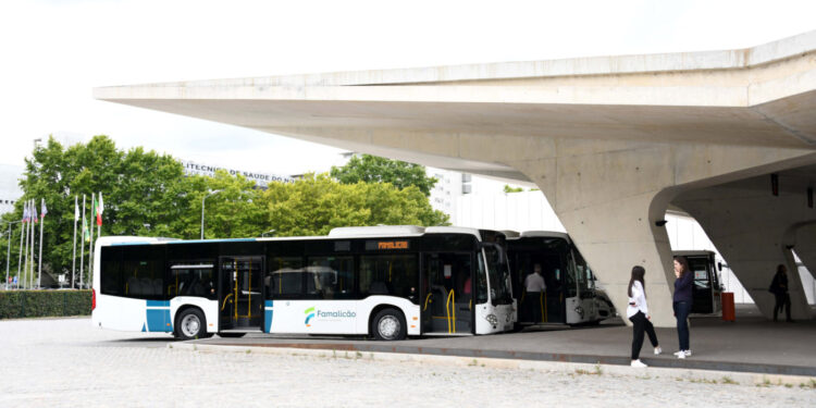 Transportes públicos