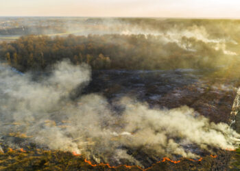 Exigências ao Governo