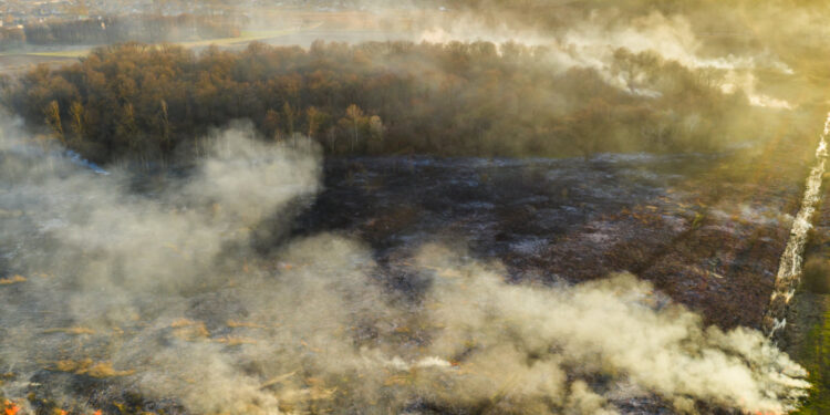 Exigências ao Governo