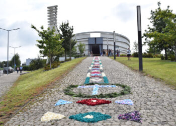 Arte e Cultura em Antas