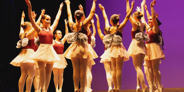 Vai à Vila em Festa