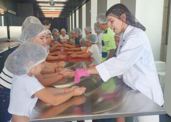 Projeto ‘Férias de Verão na Escola’