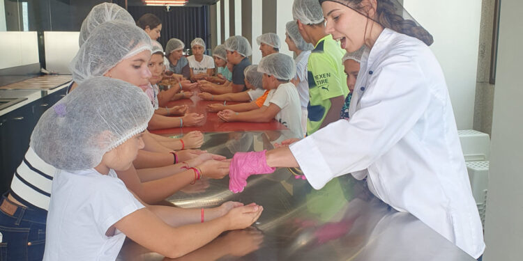 Projeto ‘Férias de Verão na Escola’