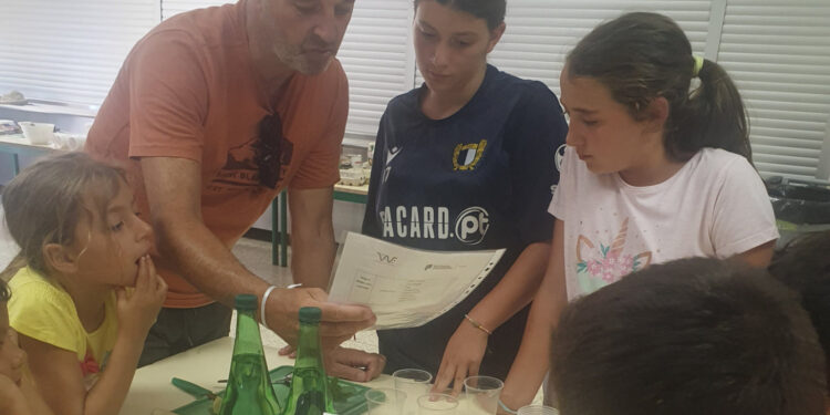 Projeto ‘Férias de Verão na Escola’