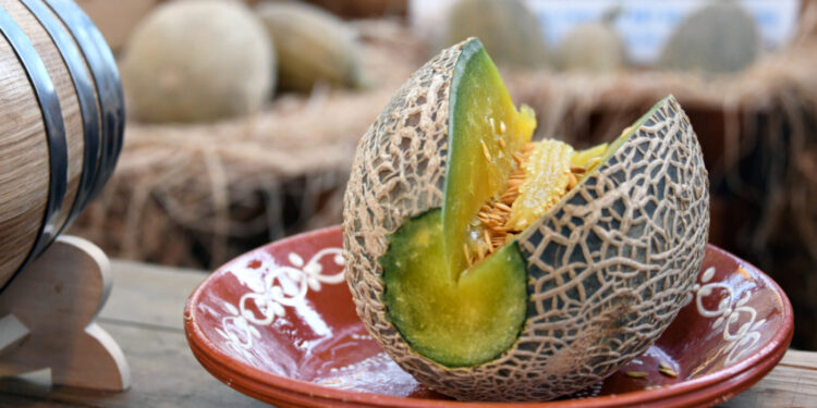 2ª Edição ‘Verde Melão’