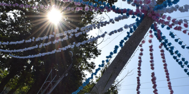 Peregrinação da Senhora do Carmo