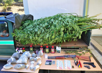 Tráfico de estupefacientes