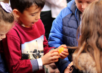 Vila Verde, na rota das colheitas