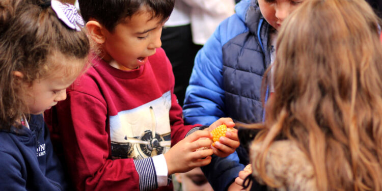 Vila Verde, na rota das colheitas