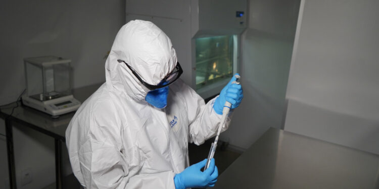 Resultados históricos de ADN