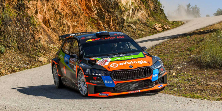 Armindo Araújo confiante