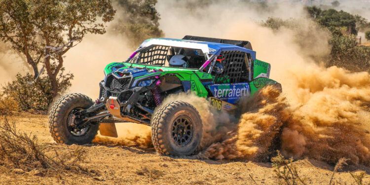 Armindo Araújo é vice