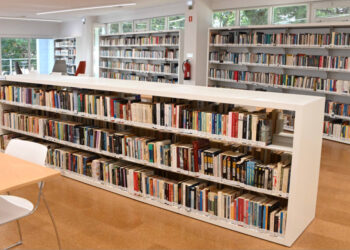 “Raiz para o futuro”