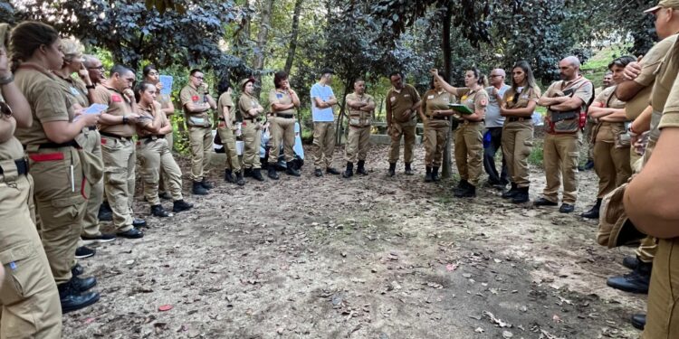 “Destraumatizar”, em Gondifelos