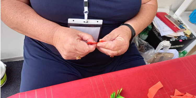 As Cores e Formas do Origami