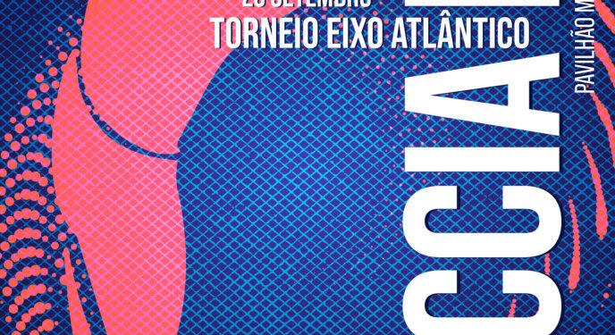 Desenvolvimento Intelectual