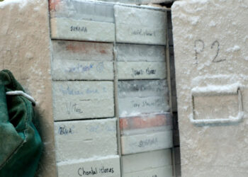 Speed Dating com micróbios