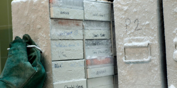 Speed Dating com micróbios