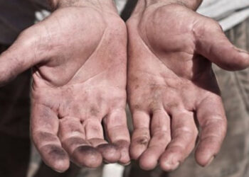 Famalicão, num terreno abandonado