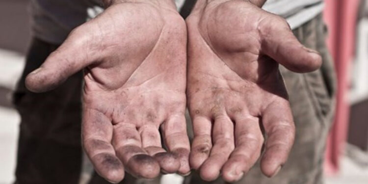 Famalicão, num terreno abandonado