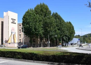 Câmara testa nova rotunda