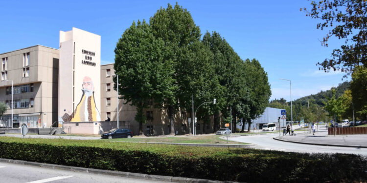 Câmara testa nova rotunda