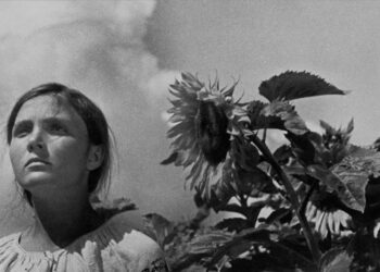 Cinema Paraíso despede-se