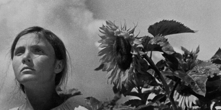 Cinema Paraíso despede-se